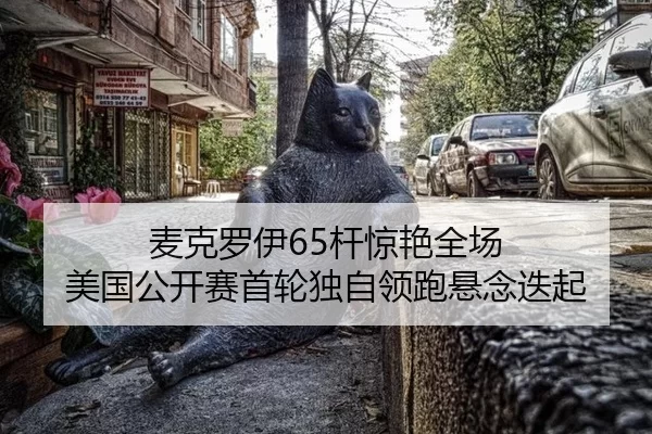 麦克罗伊65杆惊艳全场 美国公开赛首轮独自领跑悬念迭起